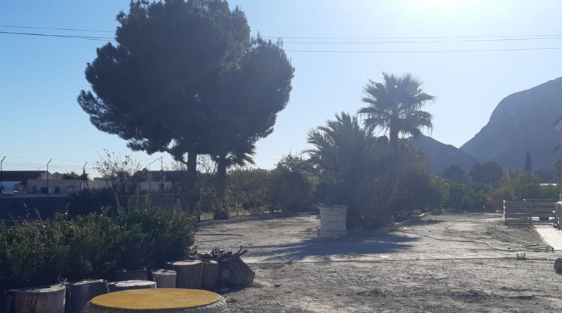 Alicante - Torrevieja - 3000m2
