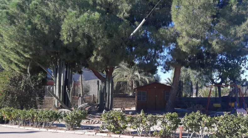 Alicante - Torrevieja - 3000m2