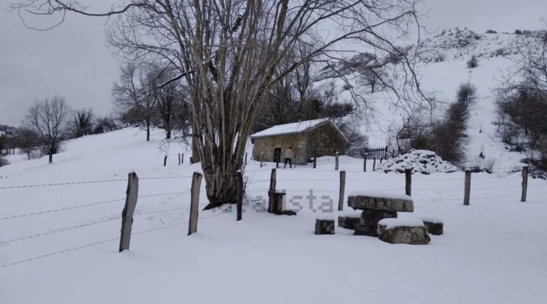 Asturias - Proaza - 2000m2