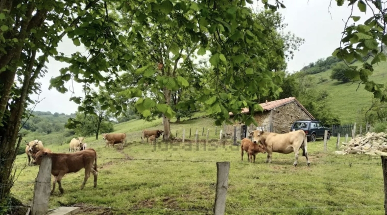 Asturias - Proaza - 2000m2