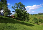 Terreno en venta en Proaza ref: TR262533 foto