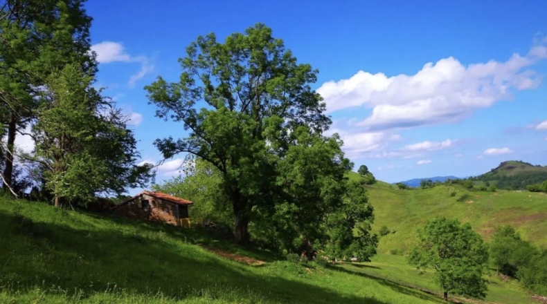 Asturias - Proaza - 2000m2