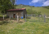Terreno en venta en Proaza ref: TR262533 foto