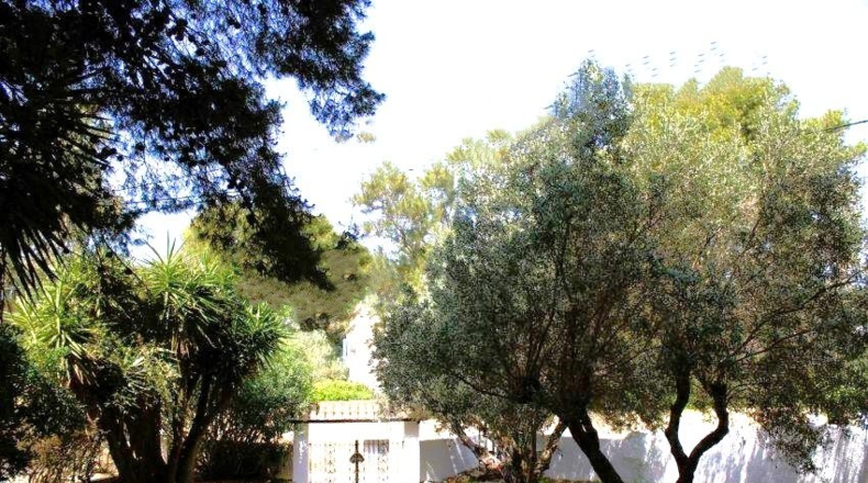 Alicante - Denia - 979m2
