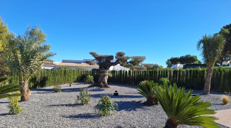 Alicante - Jávea - 2360m2