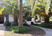Rural estate for sale in Palma de Gandía ref: TR110042 photo
