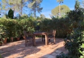 Rural estate for sale in Palma de Gandía ref: TR110042 photo