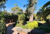 Rural estate for sale in Palma de Gandía ref: TR110042 photo