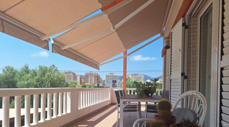 Valencia - Oliva - 5800m2