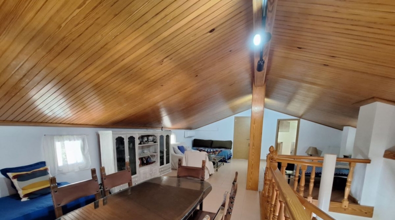 Valencia - Oliva - 5800m2