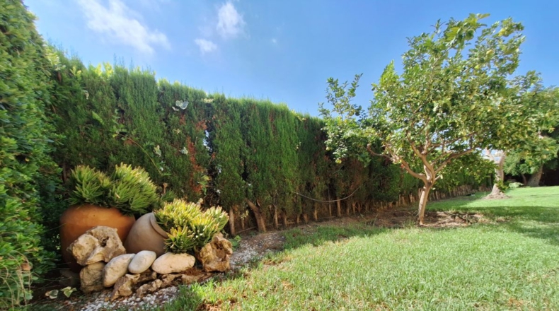 Valencia - Oliva - 5800m2