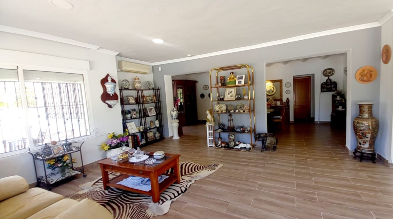 Valencia - Oliva - 7000m2