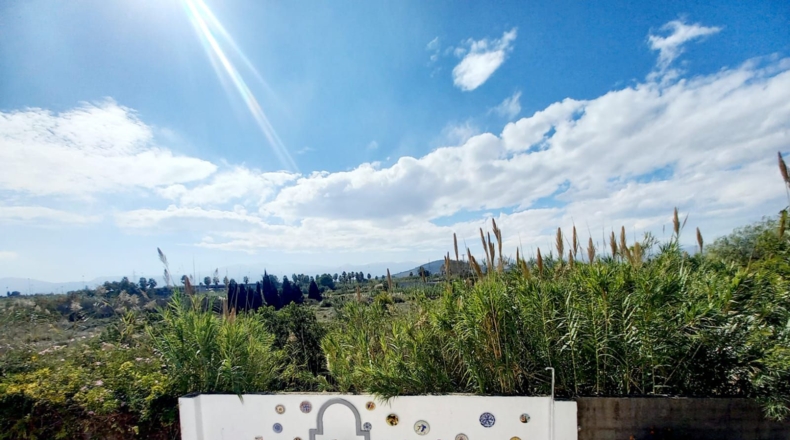 Valencia - Oliva - 7000m2