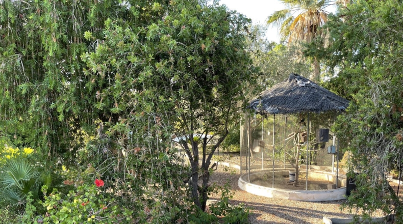 Valencia - Oliva - 7000m2