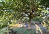 Villa con terreno en venta en Oliva ref: TR111791 foto