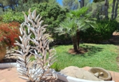 Villa con terreno en venta en Jávea ref: TR110020 foto