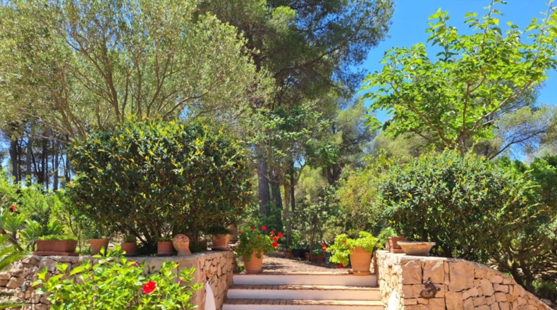 Alicante - Jávea - 13400m2