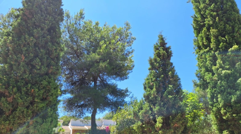 Alicante - Jávea - 13400m2