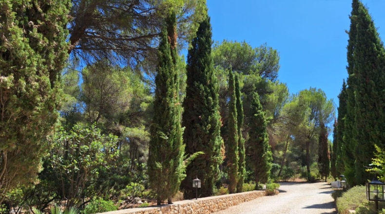 Alicante - Jávea - 13400m2