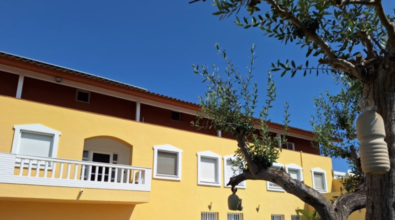 Valencia - Oliva - 5800m2