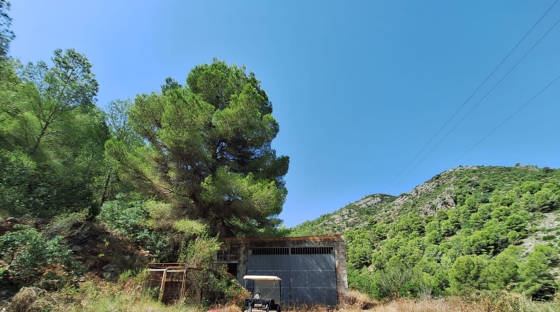 Valencia - Oliva - 54804m2