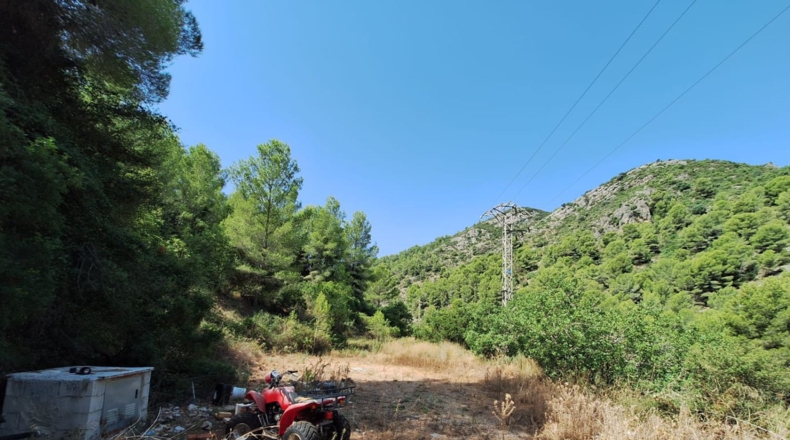 Valencia - Oliva - 54804m2
