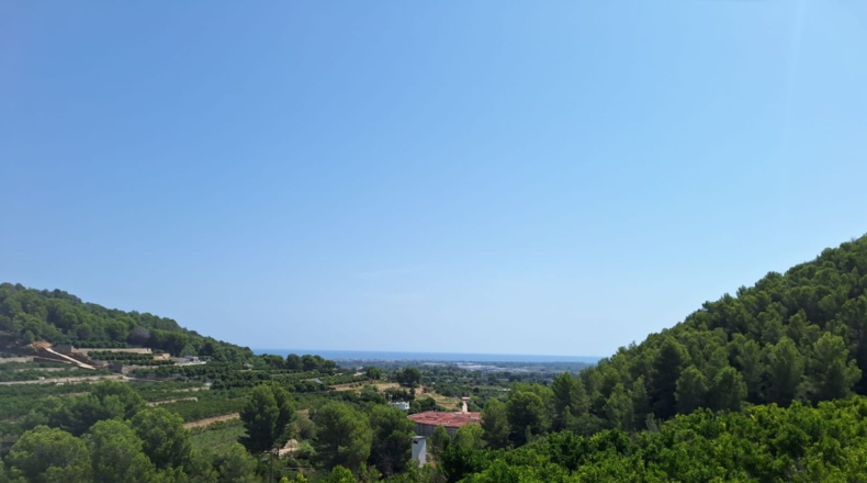 Valencia - Oliva - 54804m2