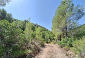 Foto 9