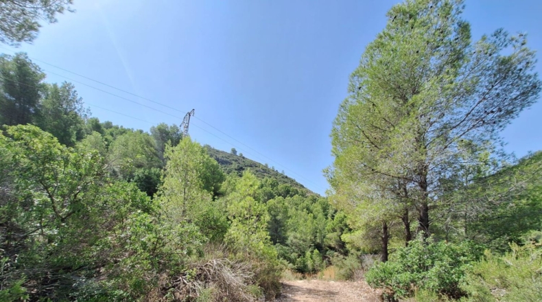 Valencia - Oliva - 54804m2