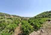 Parcela urbanizable en venta en la España, Oliva, ref: TR381085 foto