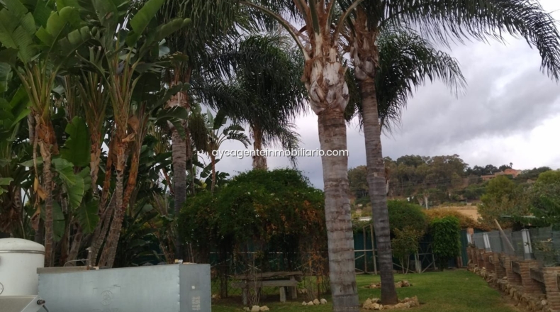 Malaga - Barriada Pablo Picasso - 4000m2