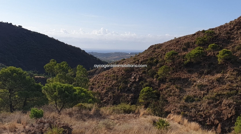 Málaga - Estepona - 38701m2