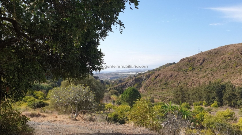 Málaga - Estepona - 38701m2
