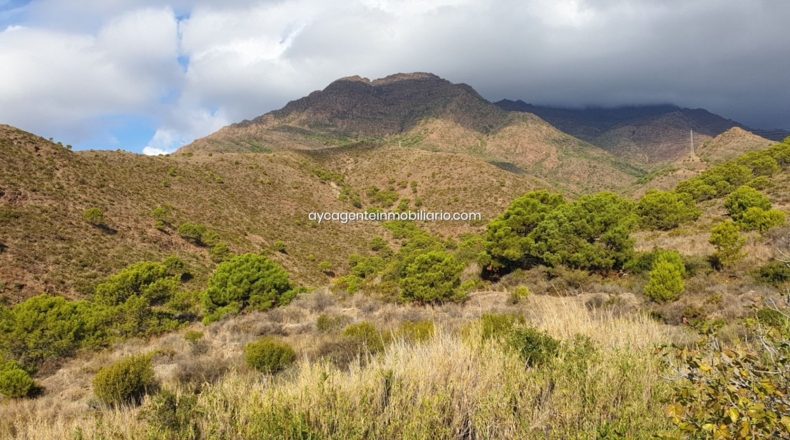 Málaga - Estepona - 38701m2