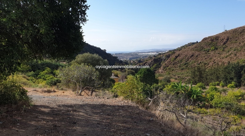 Málaga - Estepona - 38701m2