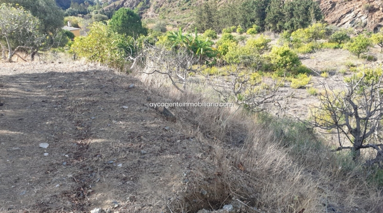 Málaga - Estepona - 38701m2