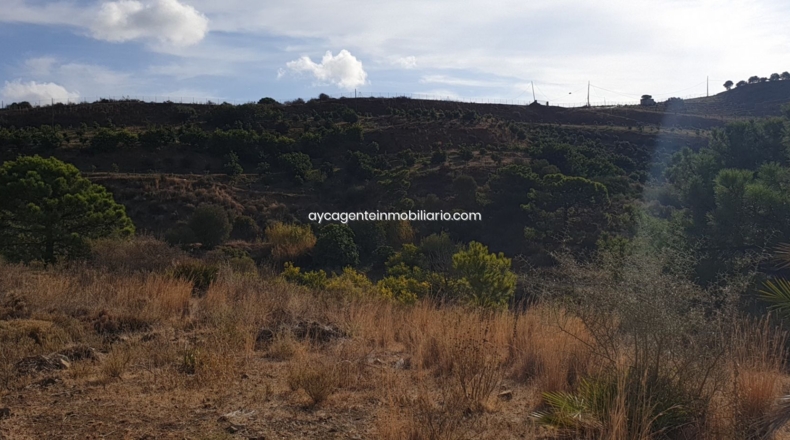 Málaga - Estepona - 38701m2