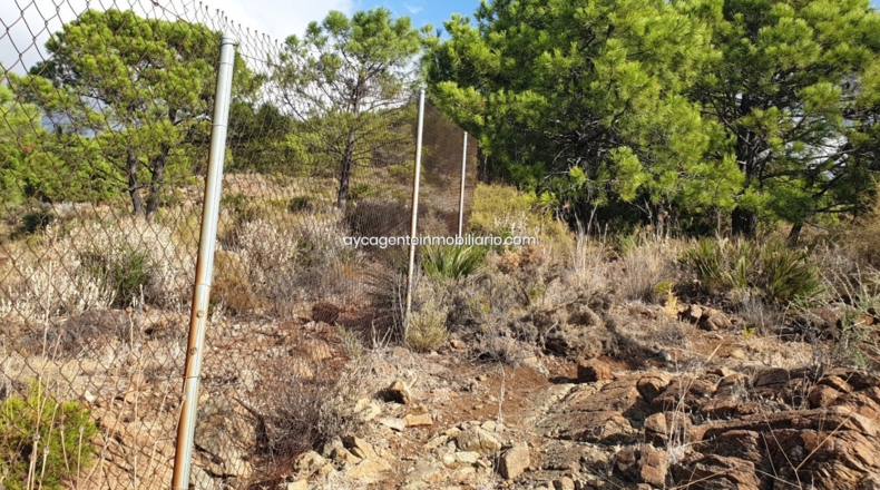 Málaga - Estepona - 38701m2