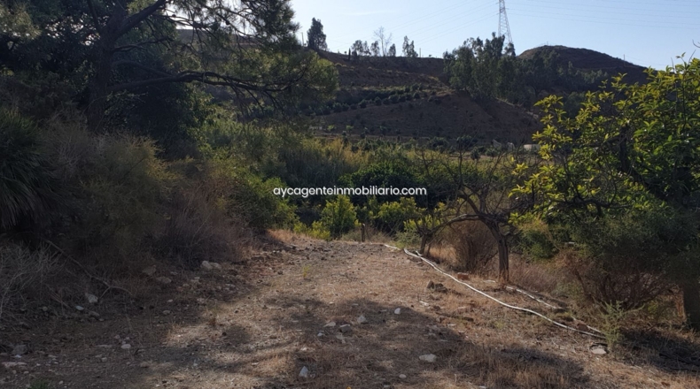 Málaga - Estepona - 38701m2