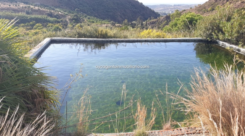 Málaga - Estepona - 38701m2