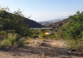 Terreny no urbanitzable en venda a Estepona ref.: TR110765 foto