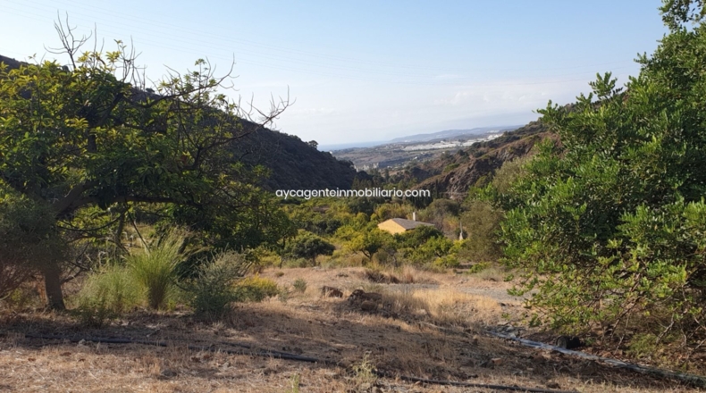 Málaga - Estepona - 38701m2