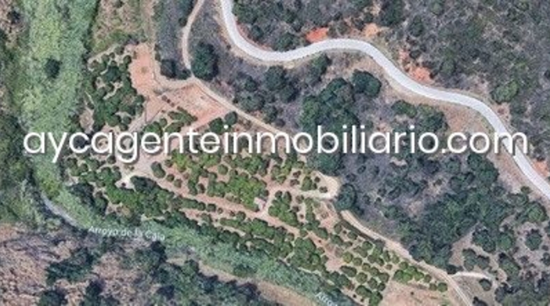 Málaga - Estepona - 10000m2