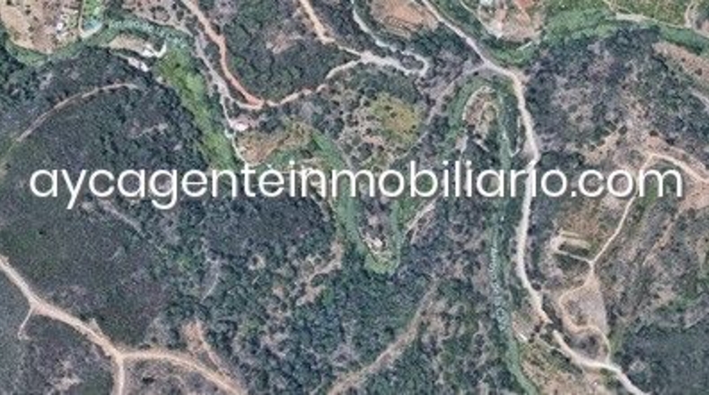 Málaga - Estepona - 10000m2
