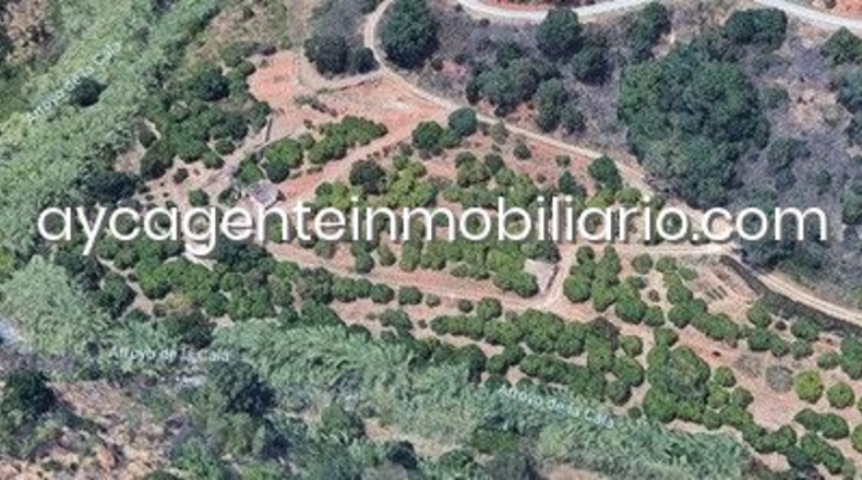 Málaga - Estepona - 10000m2