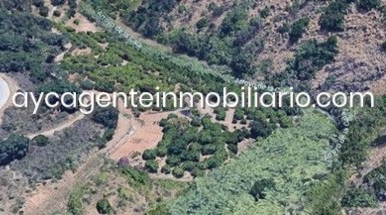 Málaga - Estepona - 10000m2