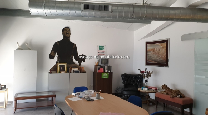 Malaga - Estepona - 600m2