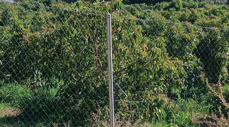 Málaga - Estepona - 4112m2