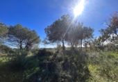 Земля на продажу у города San Roque Фото