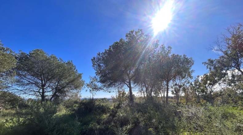 Cádiz - San Roque - 2000m2